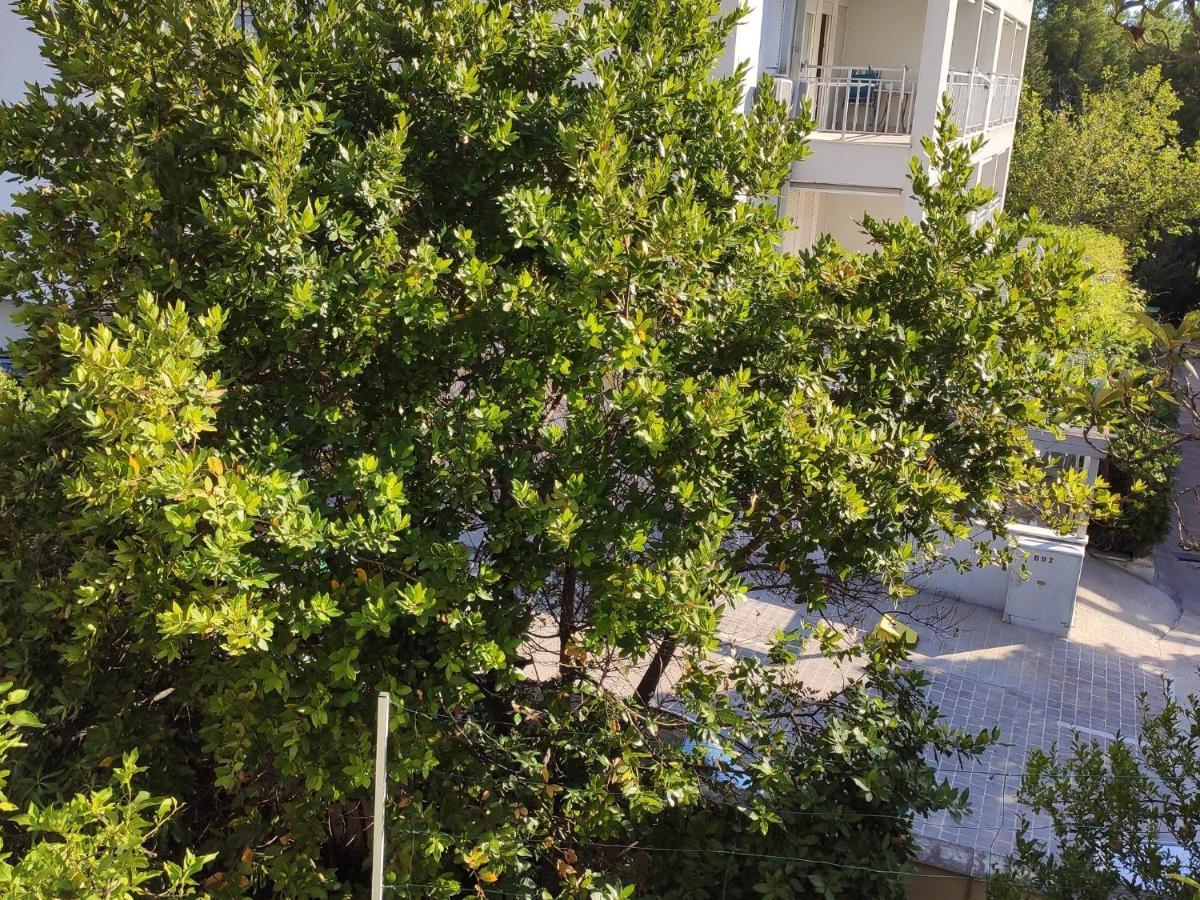 Apartments Ivo Makarska Esterno foto